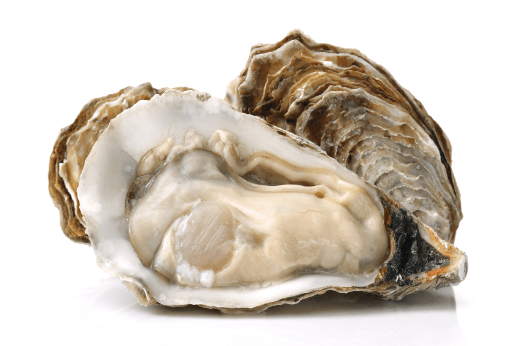 Whitecap Oysters reference to thier appearance