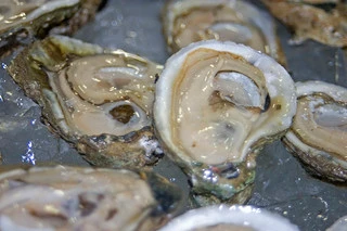 Apalachicola Oysters