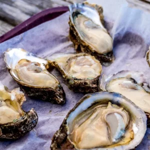 Apalachicola Oysters