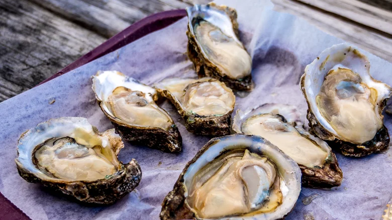 Apalachicola oysters reference to their appearance.