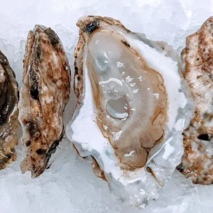 Beach Plum Oysters