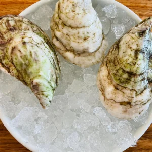 Islesboro Oysters