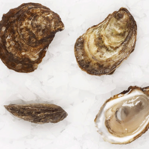 La Saint Simon Oysters