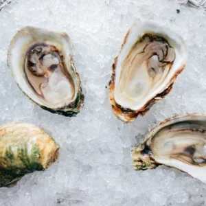 Sunberry Point Oysters