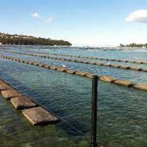 Sustainable Oysters: Farmers and Consumer Demand