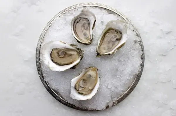 thatch island oysters