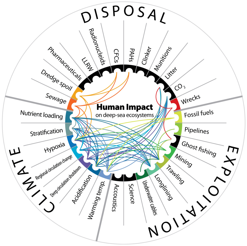 Marine Ecosystem Conservation diagram. with references to all the negatives human influence has on oceans.