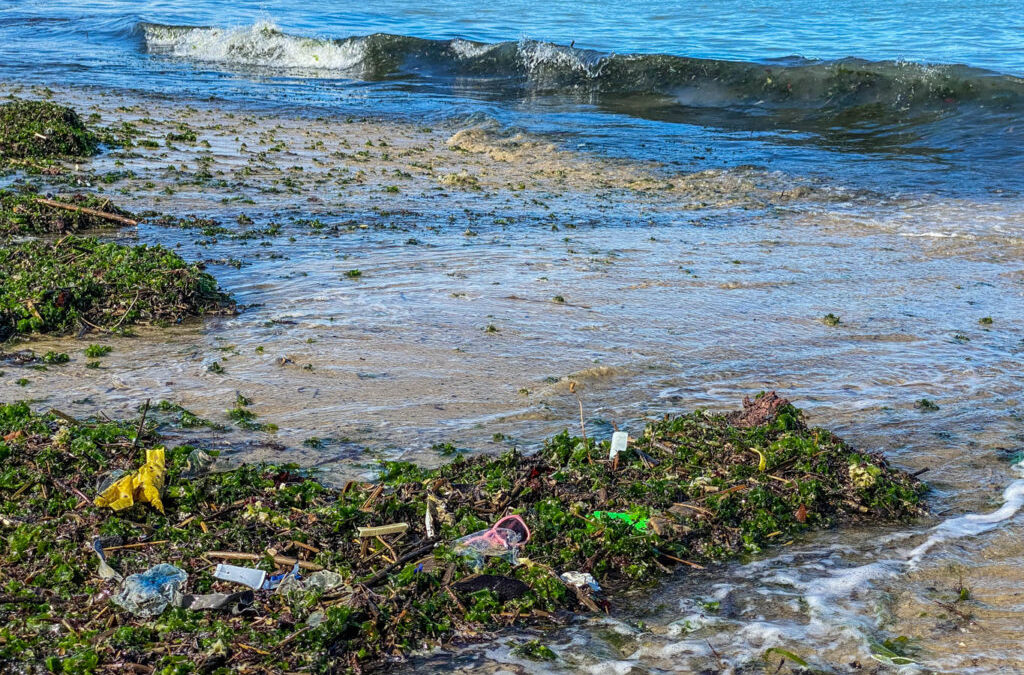 plastics washing ashore. A global issue that makes Marine Ecosystem Conservation more realistic.