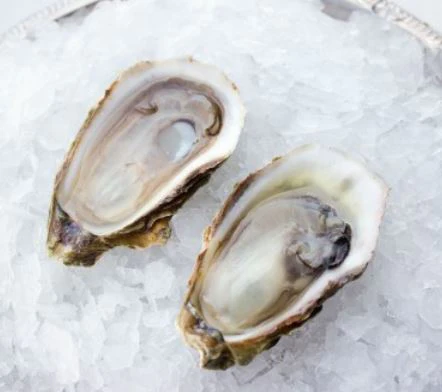 conway royal oysters
