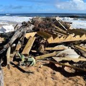 Marine Ecosystem Conservation: 5 Reasons We All Need To Read This