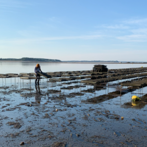 Understanding The Aquaculture Movement