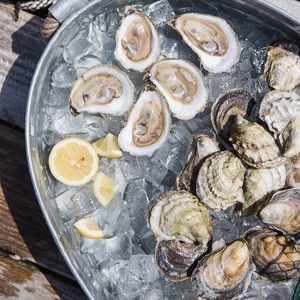 Damariscotta River Oysters