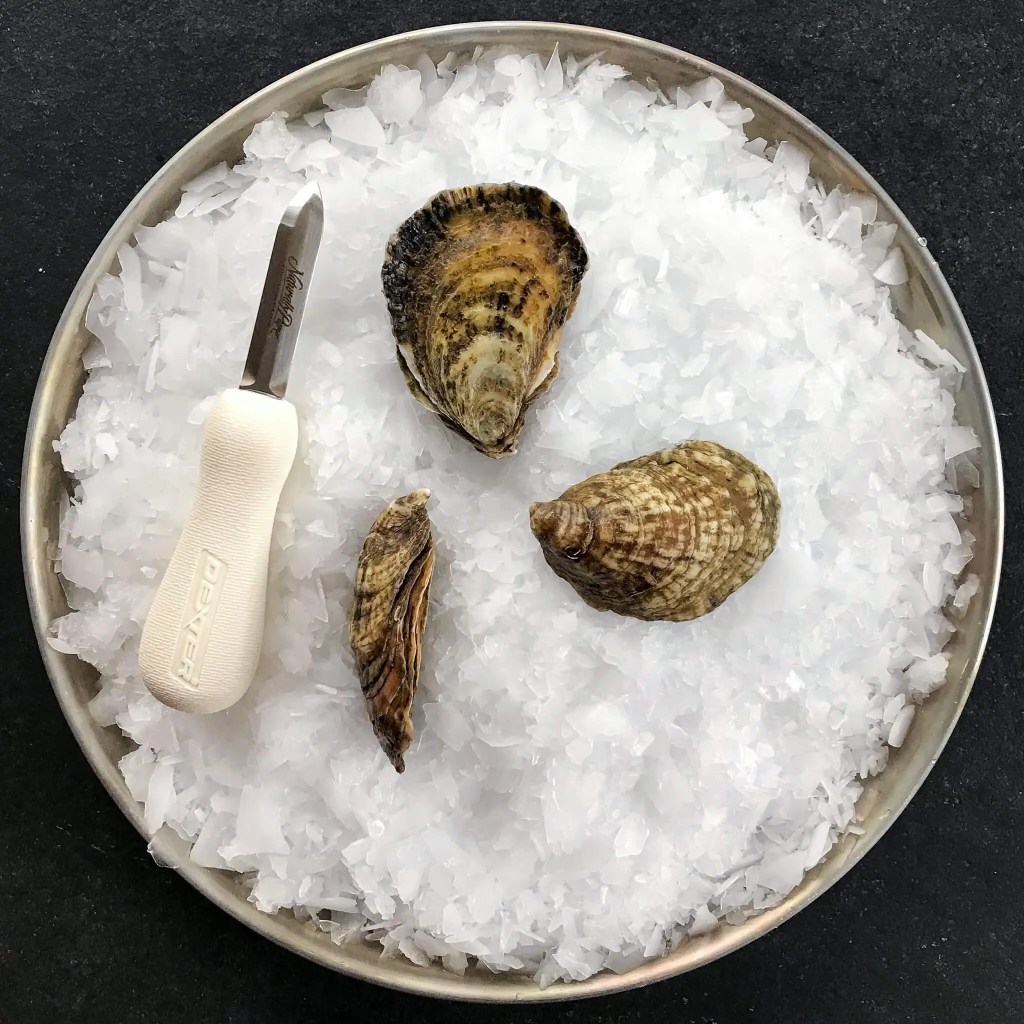 Deepwater Wellfleet oysters