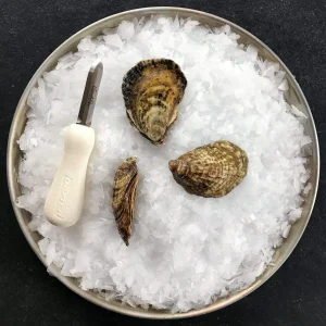 Deep Water Wellfleet Oysters