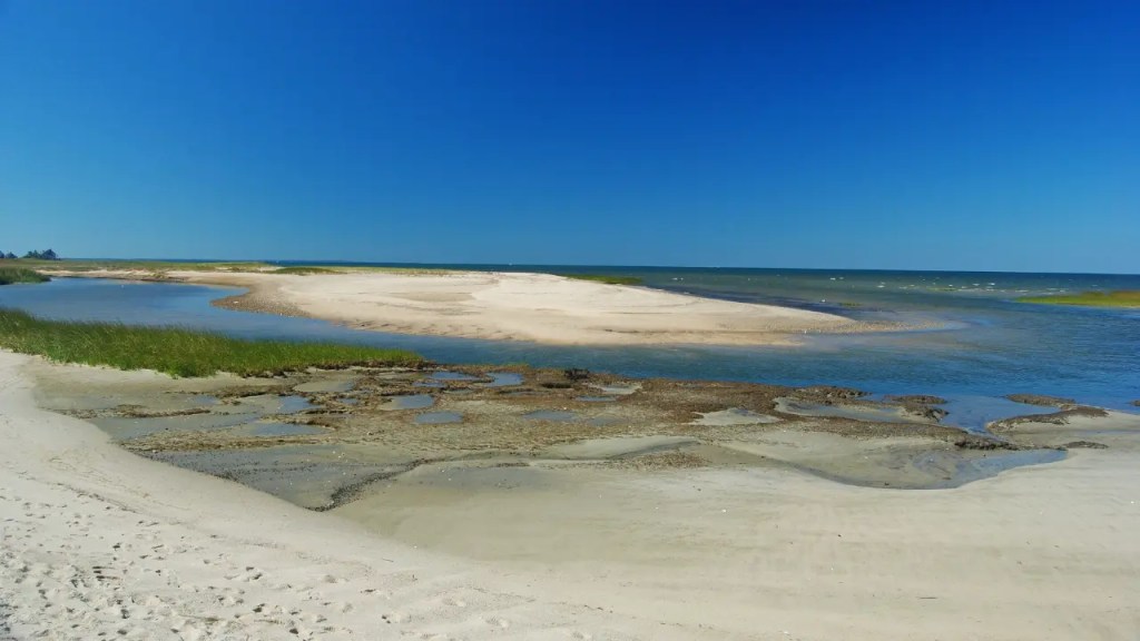 veiw from wellfleet shore.