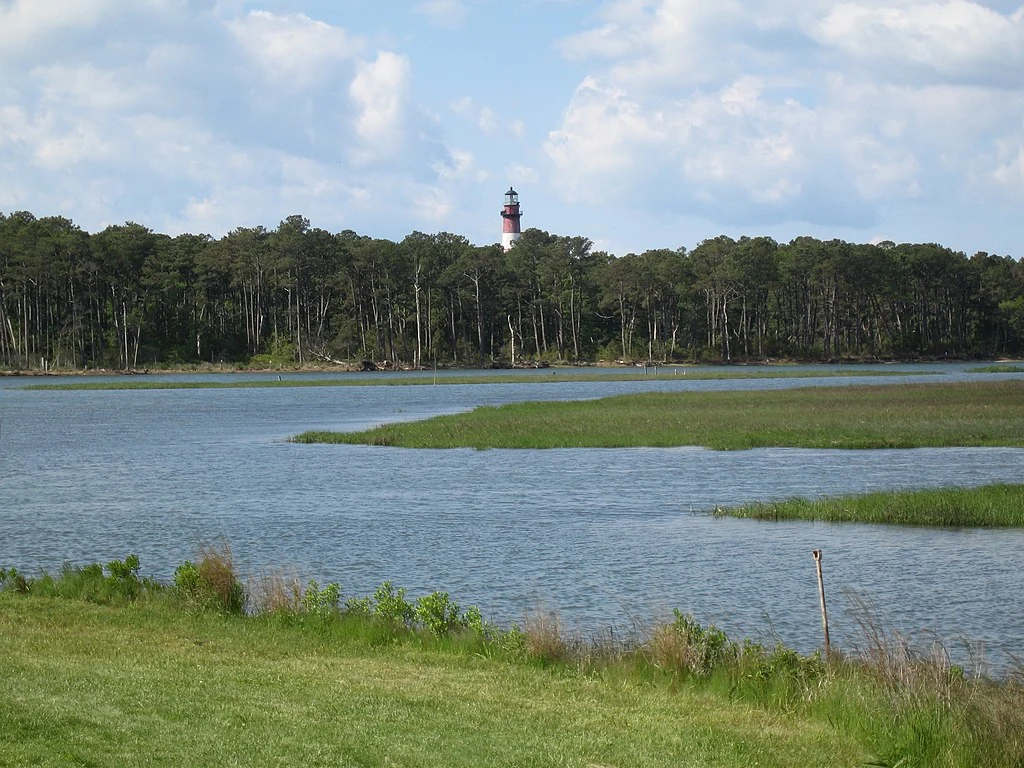 Chincoteague National Wildlife Refuge