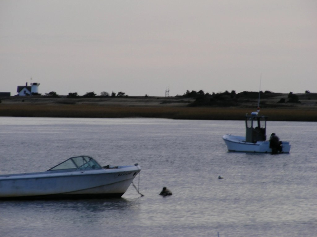 Oyster Pond River with Stage Harbor Light

