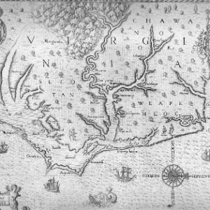 Chesapeake Bay Water Conditions: Battle of the Bivalves