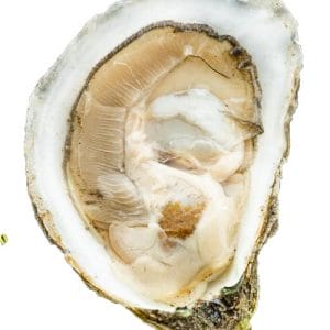Flying Point Oysters