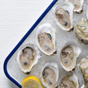 Duxbury Harbor Oysters