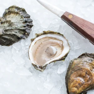 Duxbury Standard Oysters