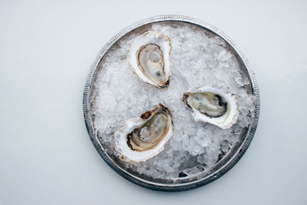 fiddlers cove oysters appearance reference.