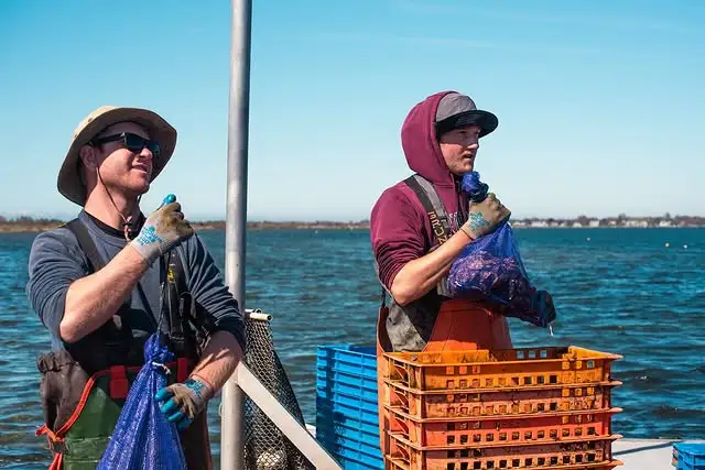 east beach blonde oyster operators
