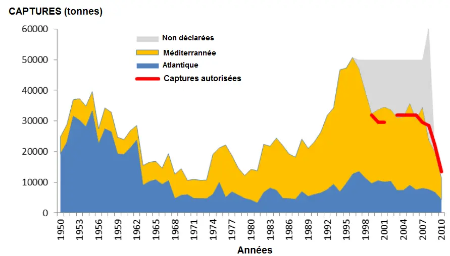 Bluefin tuna population decline bar graph reference