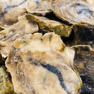 Great White Oysters