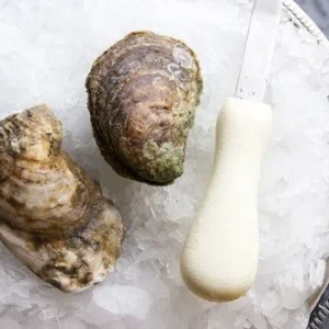 James River Oysters