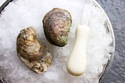 James river Oysters reference to their appearance.