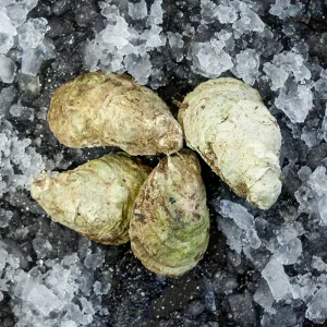 Lucky Lime Oysters