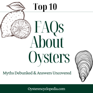 10 Most Frequently Asked Questions About Oysters!