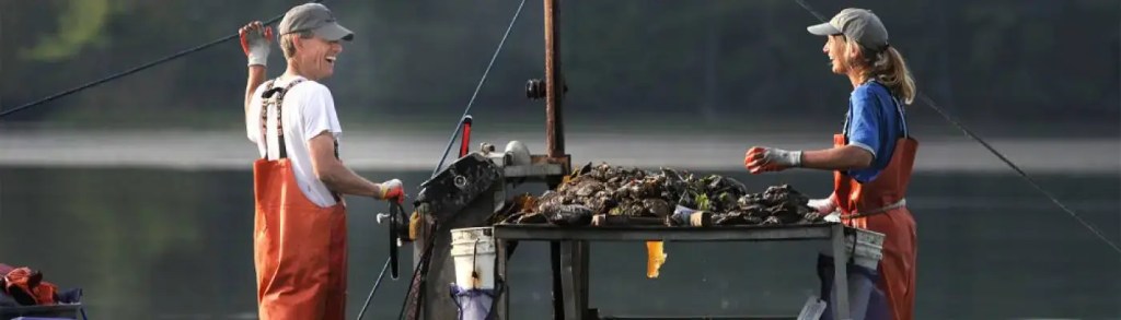 flying point oysters farmers on the job