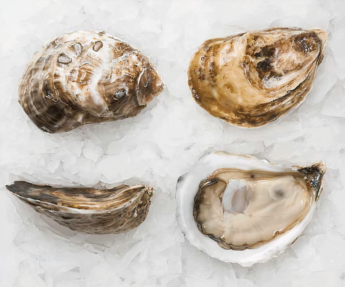 You are currently viewing Katama Bay Oysters