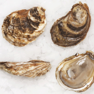 Malpeque Oysters