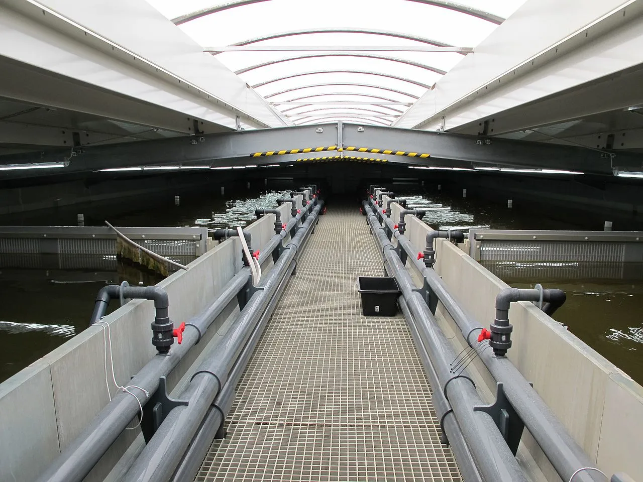 You are currently viewing Indoor Shrimp Farming is Going to Change The Game