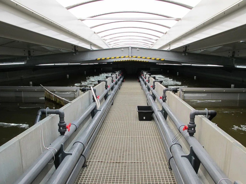 an image reference to the scale of a RAS for a indoor shrimp farm.