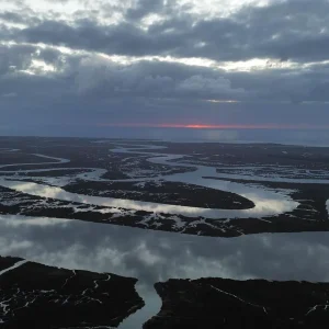 Floating Oyster Farm Lease Signed: Tybee Oyster Company Makes Waves