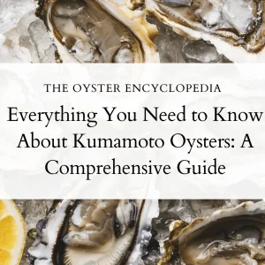 Kumamoto Oysters (Crassostrea sikamea): A Comprehensive Guide