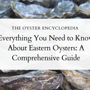 Everything You Need to Know About Eastern Oysters: A Comprehensive Guide