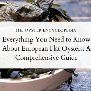 European Flat Oysters (Ostrea edulis): The Comprehensive Guide