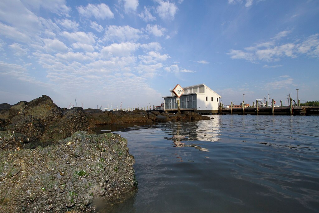 Usmc oyster sanctuary restorative operation