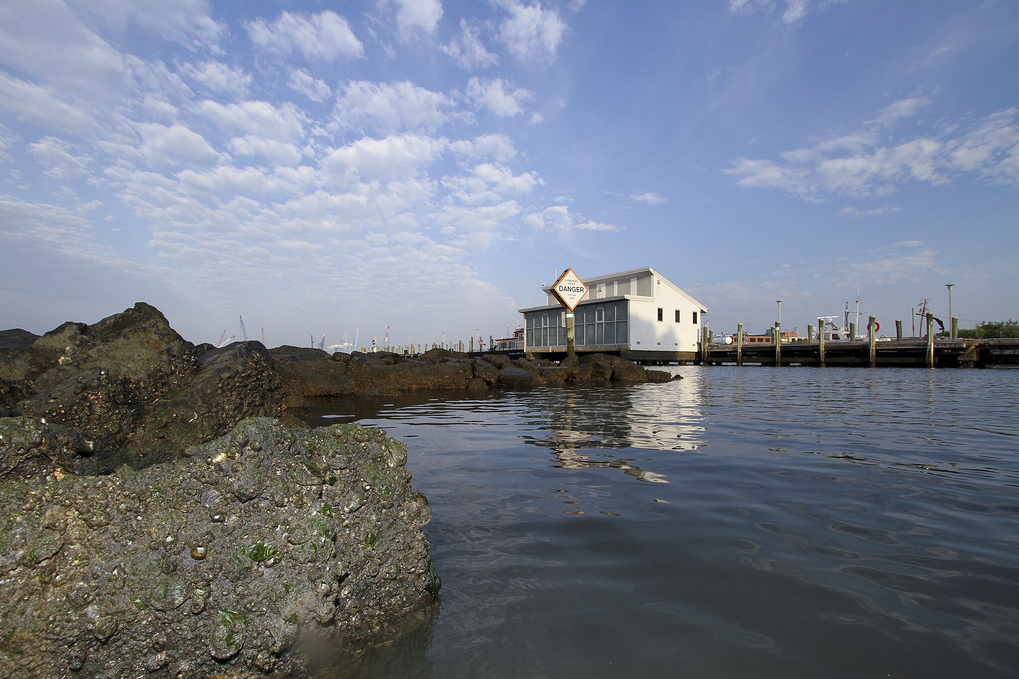 You are currently viewing Sussex County Cost-Share Program for Oyster Aquaculture