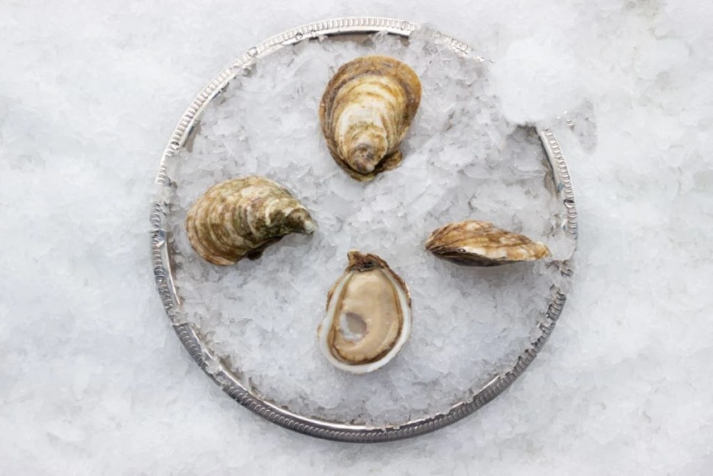 Salten Rock Oysters reference to thier appearance.