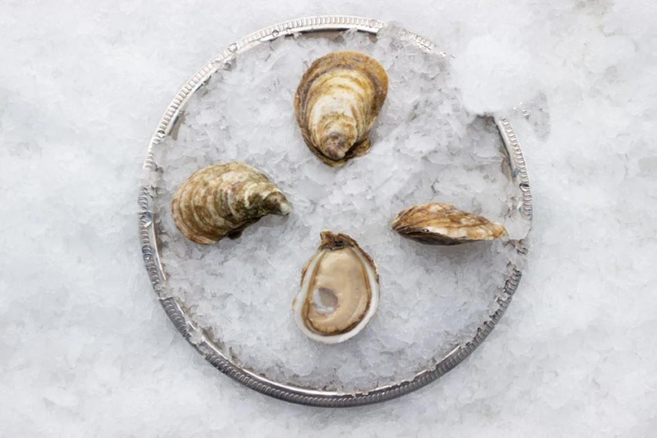 You are currently viewing Salten Rock Oysters