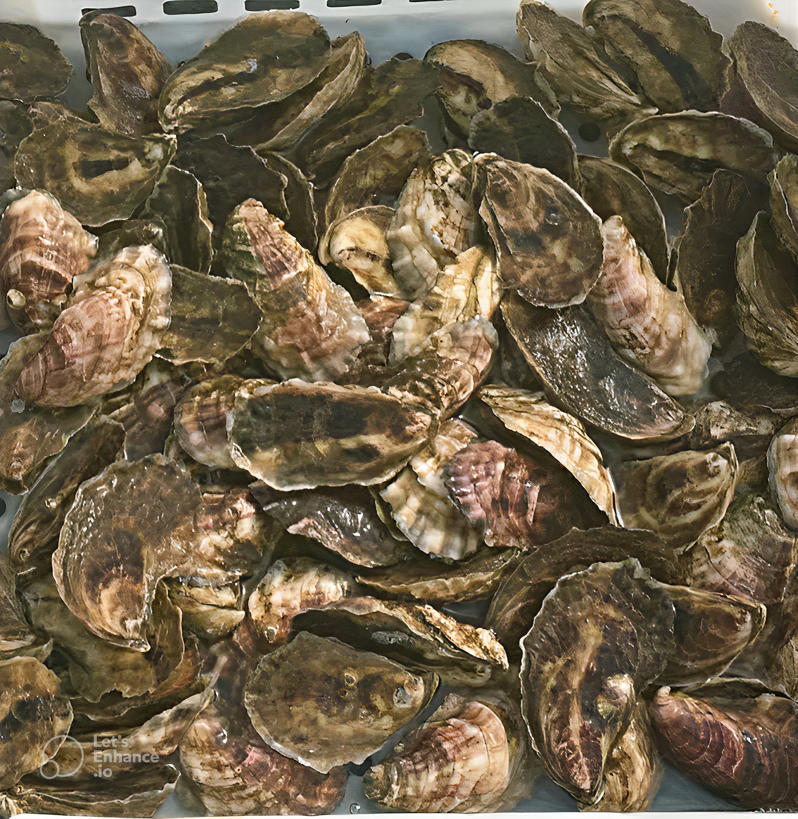 You are currently viewing Skipper Sweet Oysters