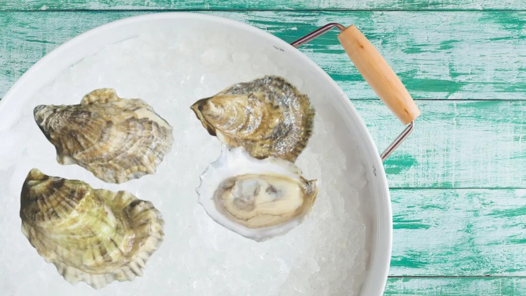 Pelican Reef Oysters reference to thier appearance