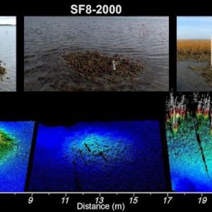 The Climate Change Battle Through Georgia’s Oyster Reef Restoration