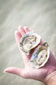 Grand Batture oysters reference to thier appearance.